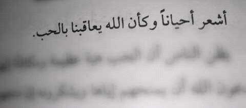 mshtap_95's tweet photo. @bAamU6aAdMhfF9M https://t.co/Bp1K3kgrzk