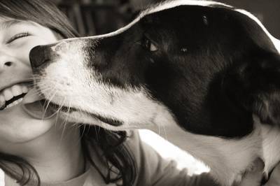 MagazineMascota's tweet photo. ¿Sabes si tu #perro te ama? Descúbrelo #mascotas https://t.co/95WXuF3F6A https://t.co/ZRP0w0VEkY