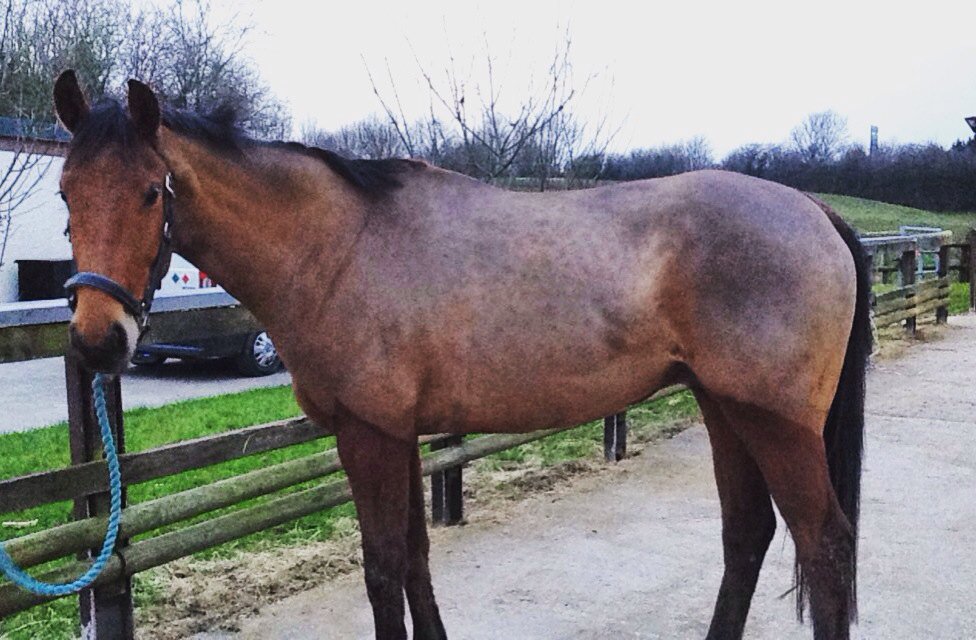 eshackell's tweet image. Oh my god 😍