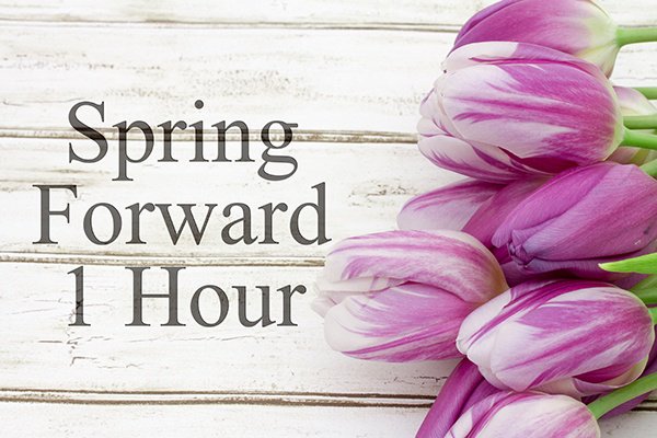 commchoicecu's tweet photo. Don't forget to adjust your clocks as we spring forward! #DayLightSavingTime https://t.co/ADoWqx8RLe