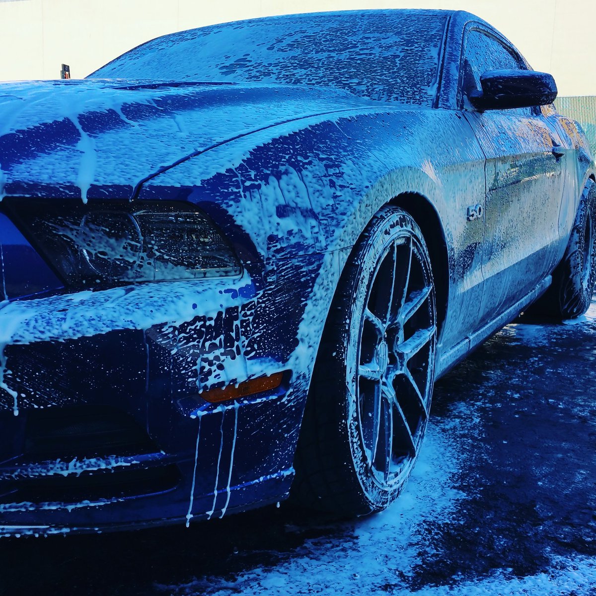 R3flectivDetail's tweet photo. Even horses need a wash!
Renew • Protect • Drive
#mustang #supercharged #reflectivedetail #sandiego #autodetail https://t.co/QoORghaxAC