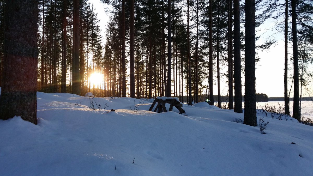 RattHole's tweet photo. Waiting for the winter sun... What a magnificent weather for the geocaching! #geocacging @Geocaching_Pics https://t.co/jO81Q4lOXD
