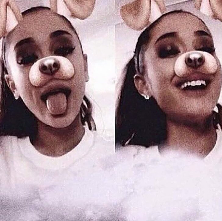 ItsCatVal's tweet image. Hehe,🐶✨