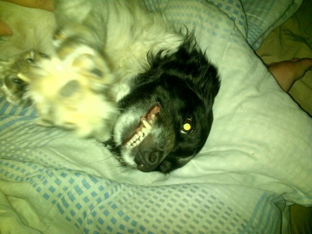 RavenAngel888's tweet photo. @KugoTheMighty #ForAVid totally HOT! ;-D my angel Izzi https://t.co/hvfq5f41CW