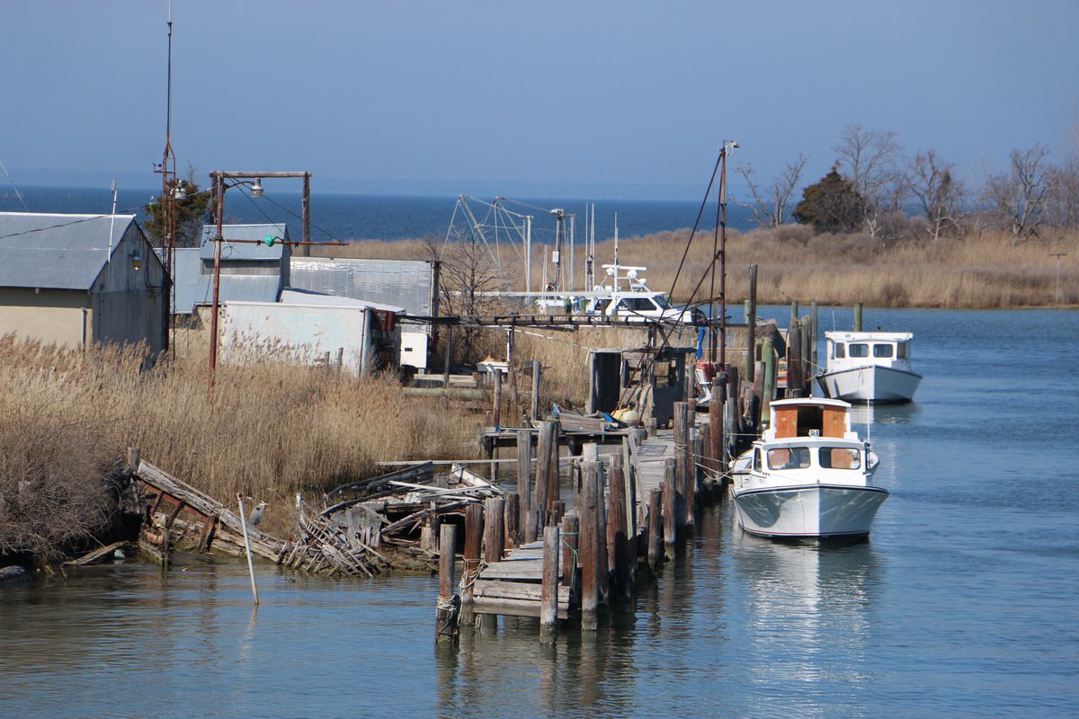 patrickdburn's tweet image. Support my son Pablo with his Film "Save Our Sails"
saveoursailsfilm.com
Donate:
kickstarter.com/projects/17091…