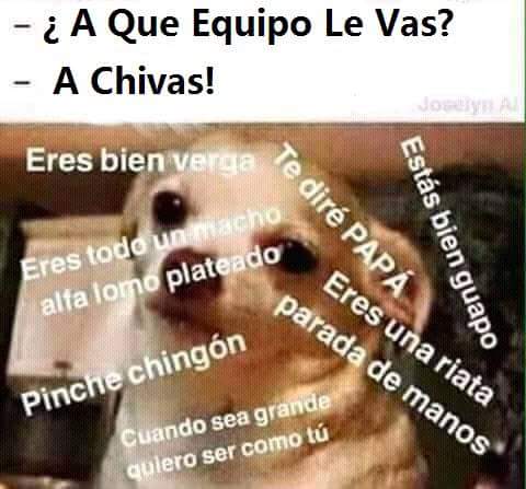 _13Bettis's tweet photo. #DeChivas👌👌 https://t.co/dIL3wYbuF7