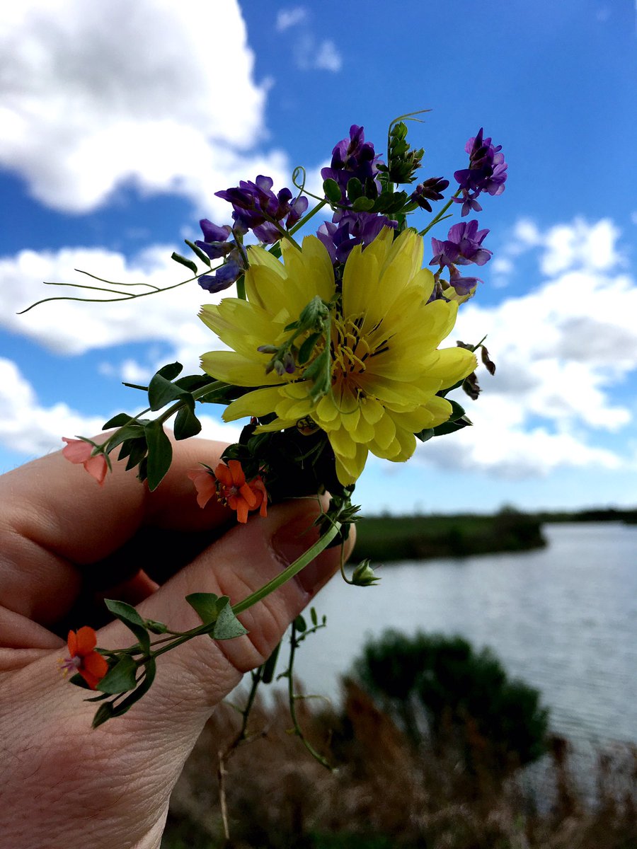 A #YearInSpace gave me a fresh perspective of #Earth &amp; a new appreciation for #nature. Enjoying our planet today.