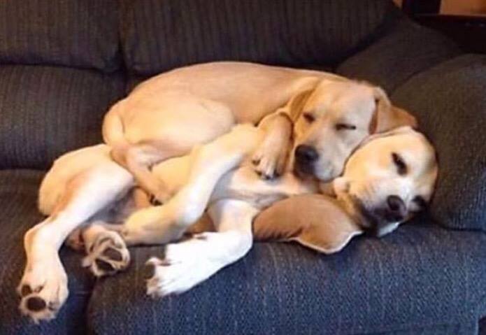 Hate to do this to you guys but we couldn't help posting this. 
#VitaGravyFX