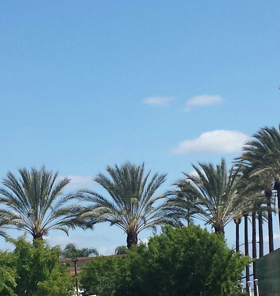 sheridanswim's tweet photo. Bluebird at #ExpoWest #ExpoWest2016 https://t.co/RkUWIB7Tew