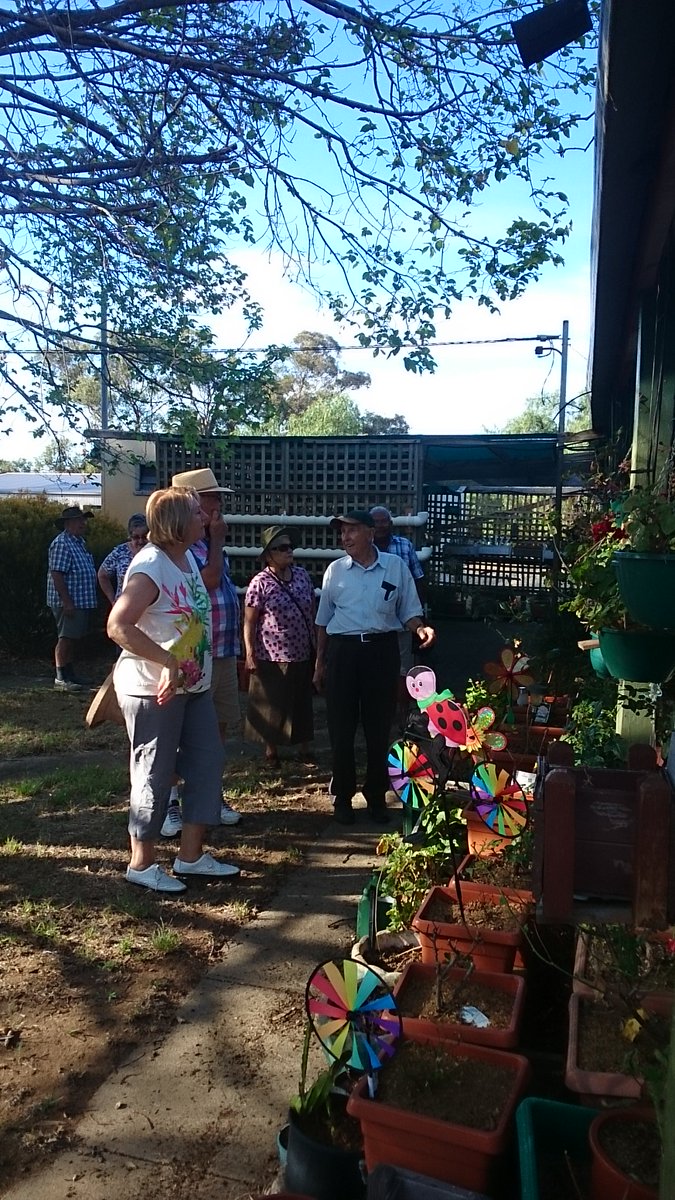 Tour of Cliff's hydroponic garden in Deniliquin in full swing. Grown in sawdust and pipes.