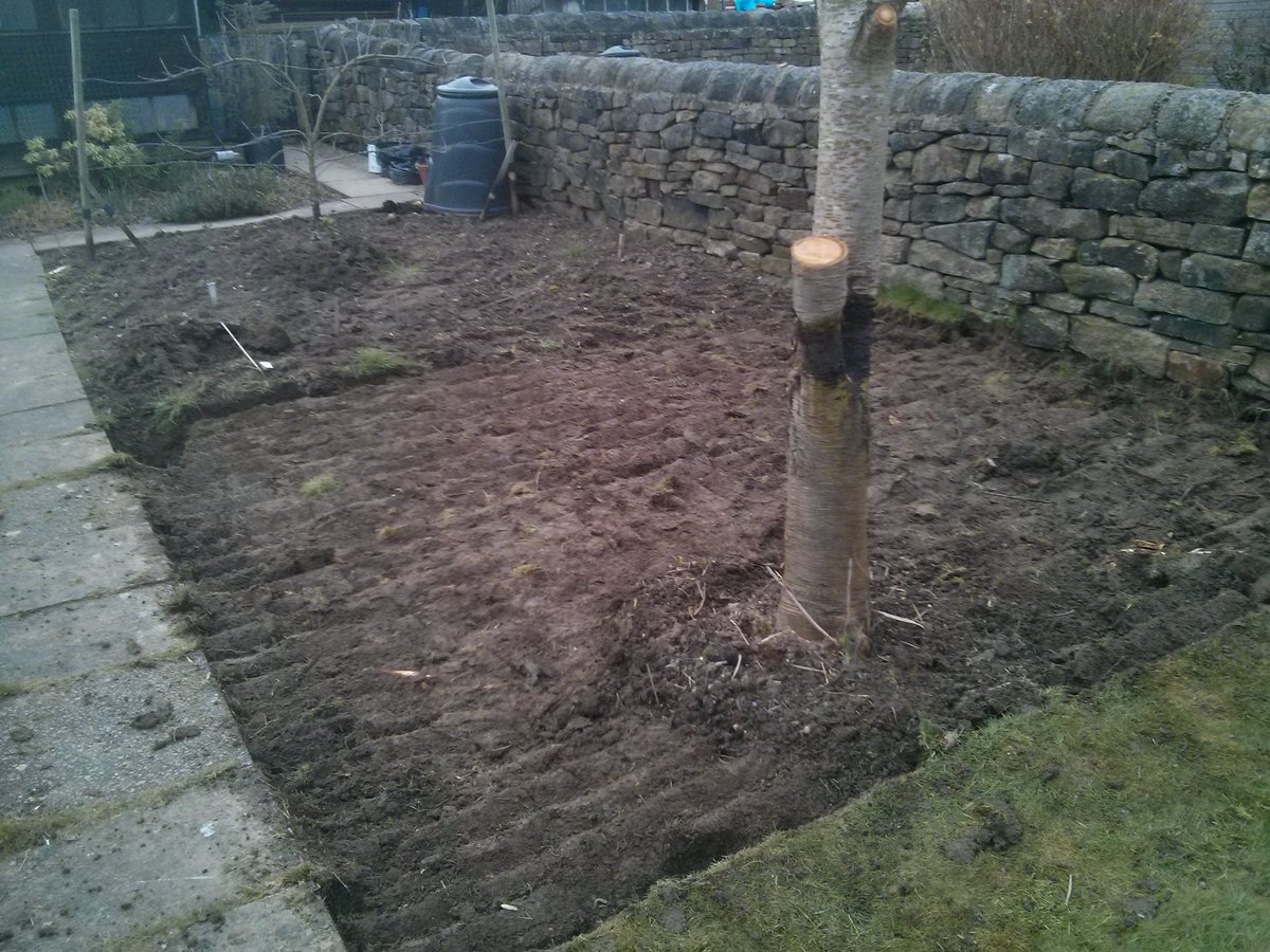 After an afternoon of digging the garden is looking worse rather than better.