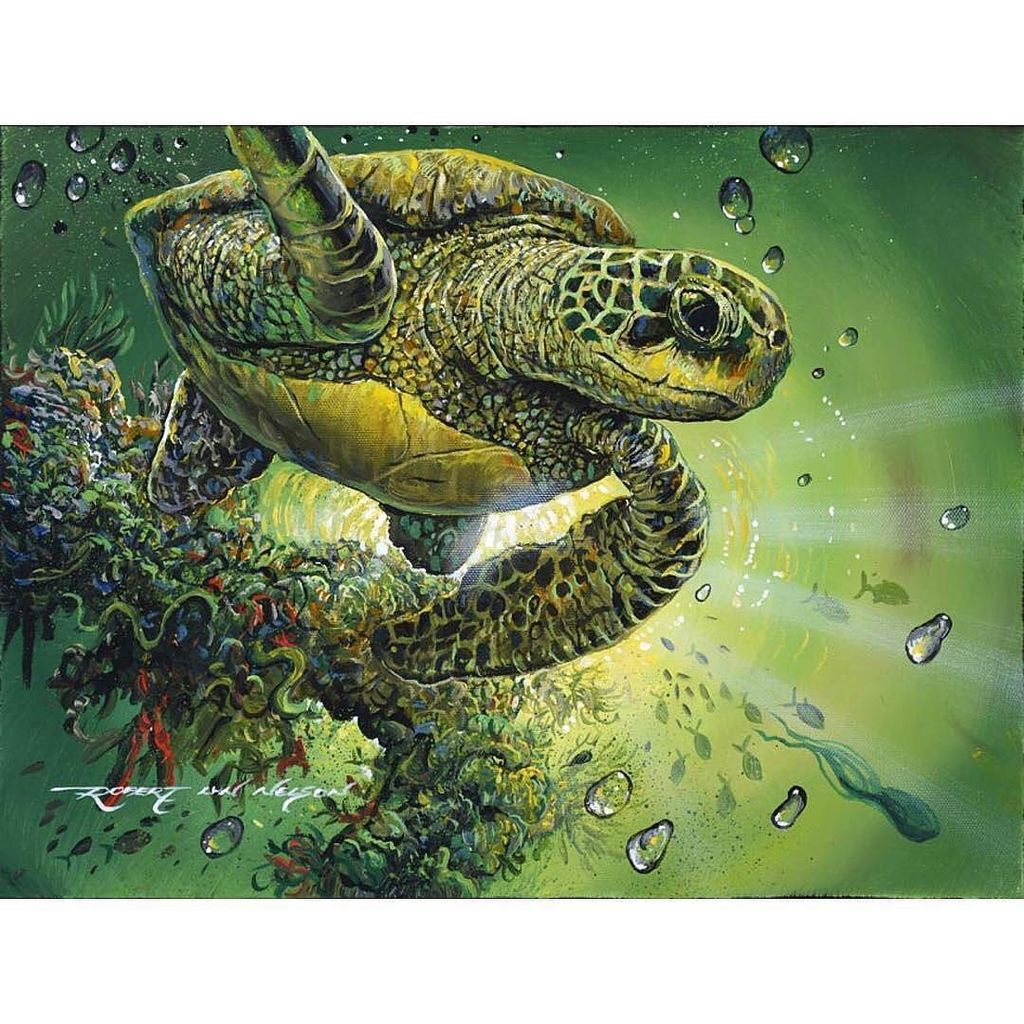 ParadiseCoveStt's tweet photo. evawinters shares: from @robertlynnelson_art - #robertlynnelson #art #oilpainting #maui #turtle #realist #oceanlif… https://t.co/jWITSSJdiN