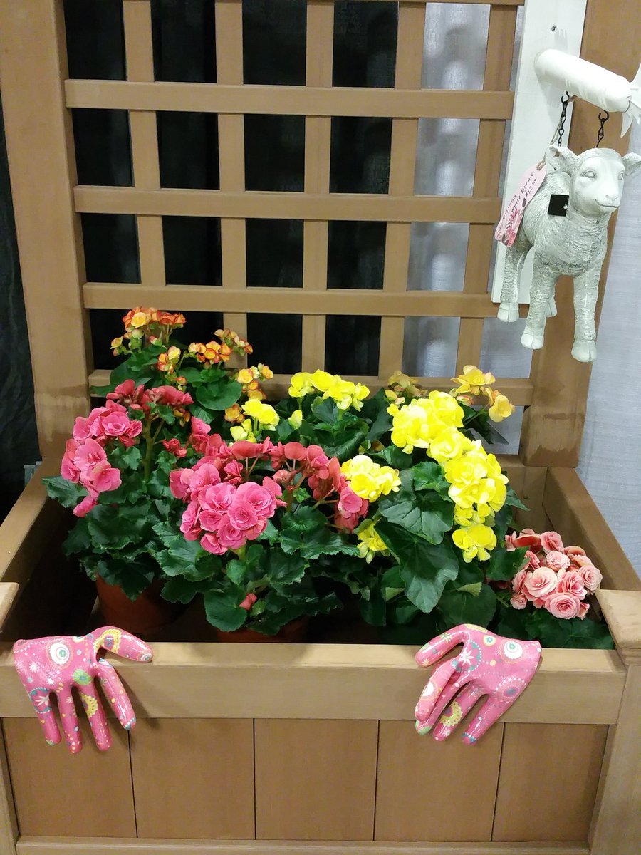 Go_Geis's tweet image. Come see us at the Indiana Flower and Patio show!  Amazing gardens,  gr8 pls to get spring fever!