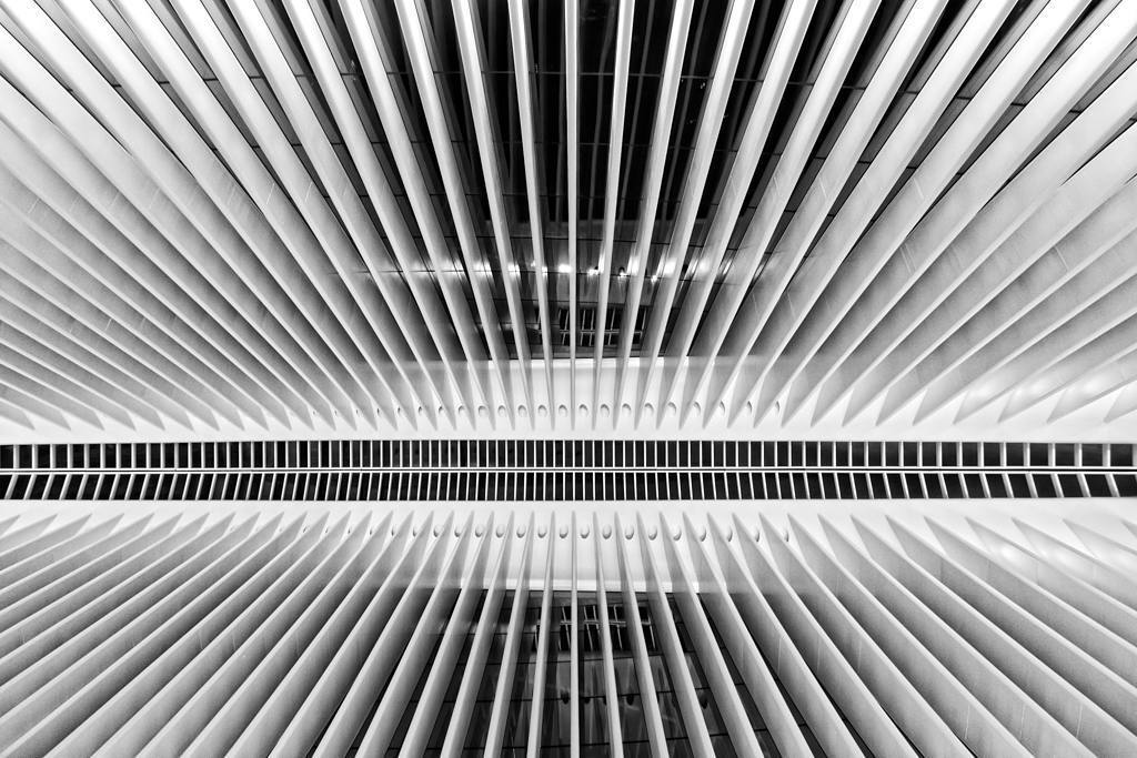 SouthpawCapture's tweet image. #oculos #nyc #pathtrain