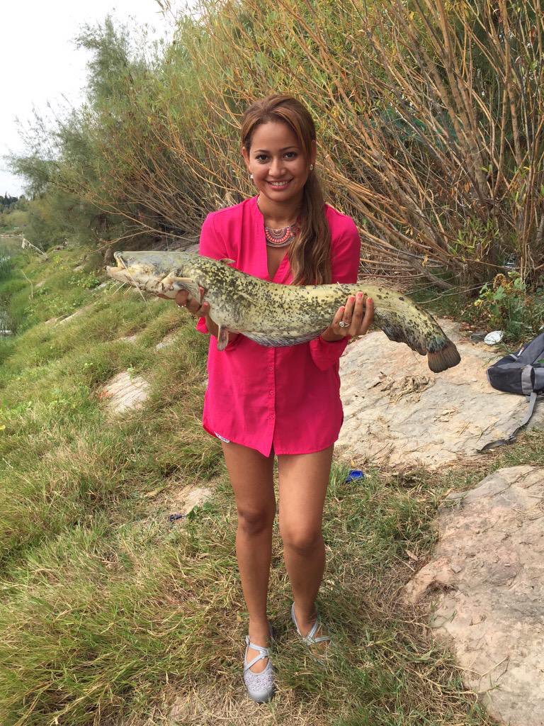 Ary avril tweet media