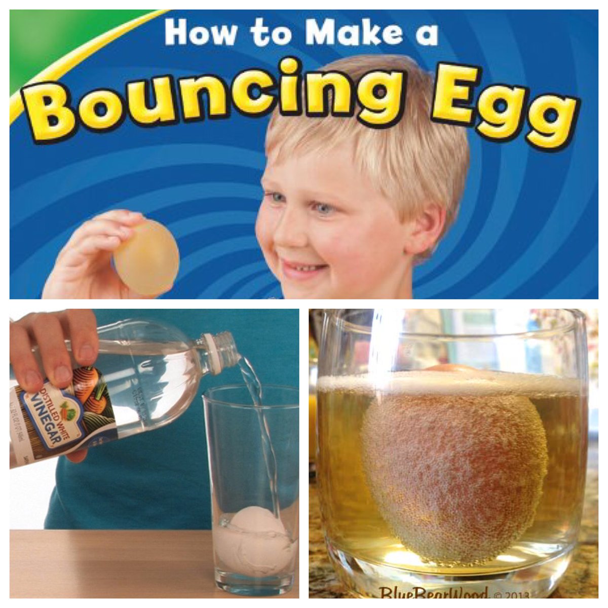 Learn_to_teach's tweet image. Kindergarten takes on following a how to book for a science experiment! #bouncingegg