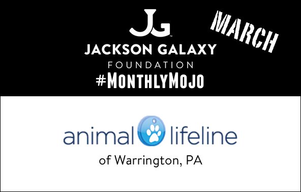 JGalaxyProject's tweet photo. #MaximizeYourMojo by helping out our March #MonthlyMojo pick, @AnmlLifelinePA > https://t.co/Qulw5Hs2QT https://t.co/Qg24FuF2PW