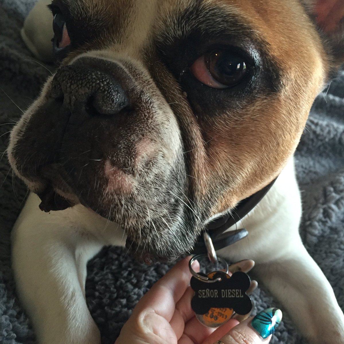 I got myself some new bling.