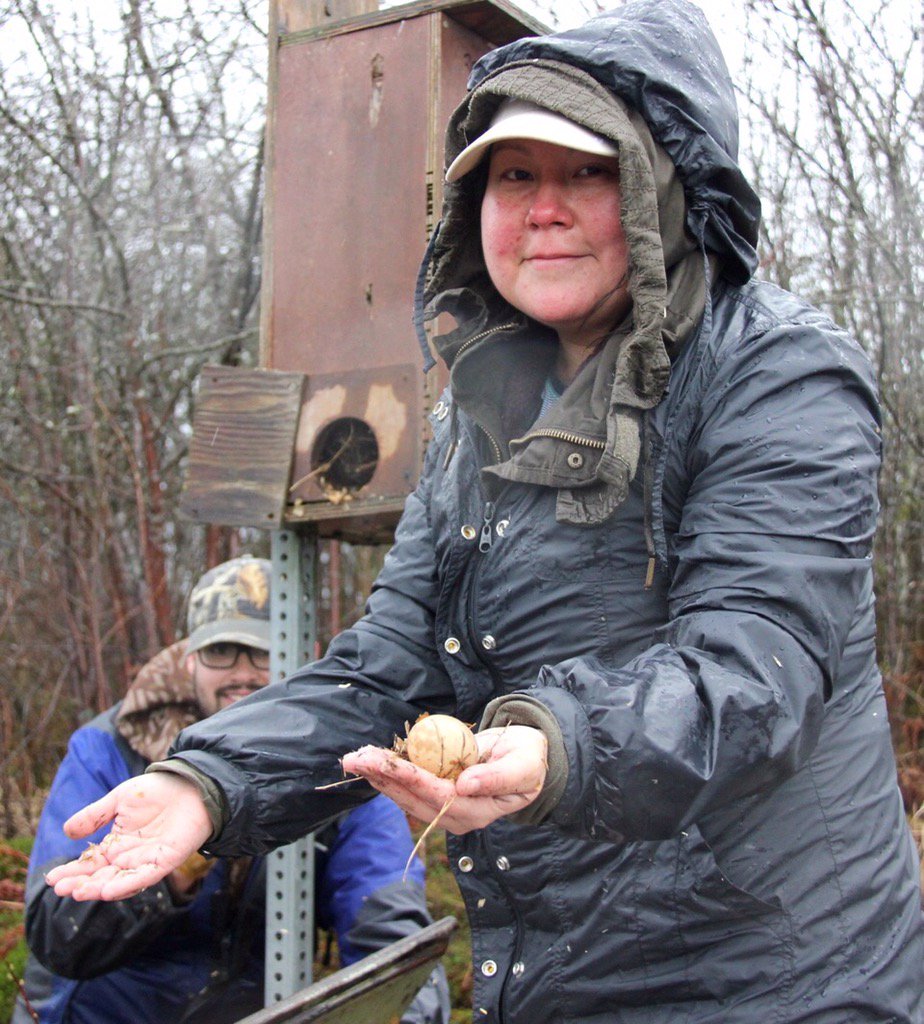 CansoDan's tweet photo. @czarofbar @DUCinBC Nest prep for this year. Shells and unhatched eggs from last year. Good success! Soggy day! https://t.co/zpdIcCq9j2