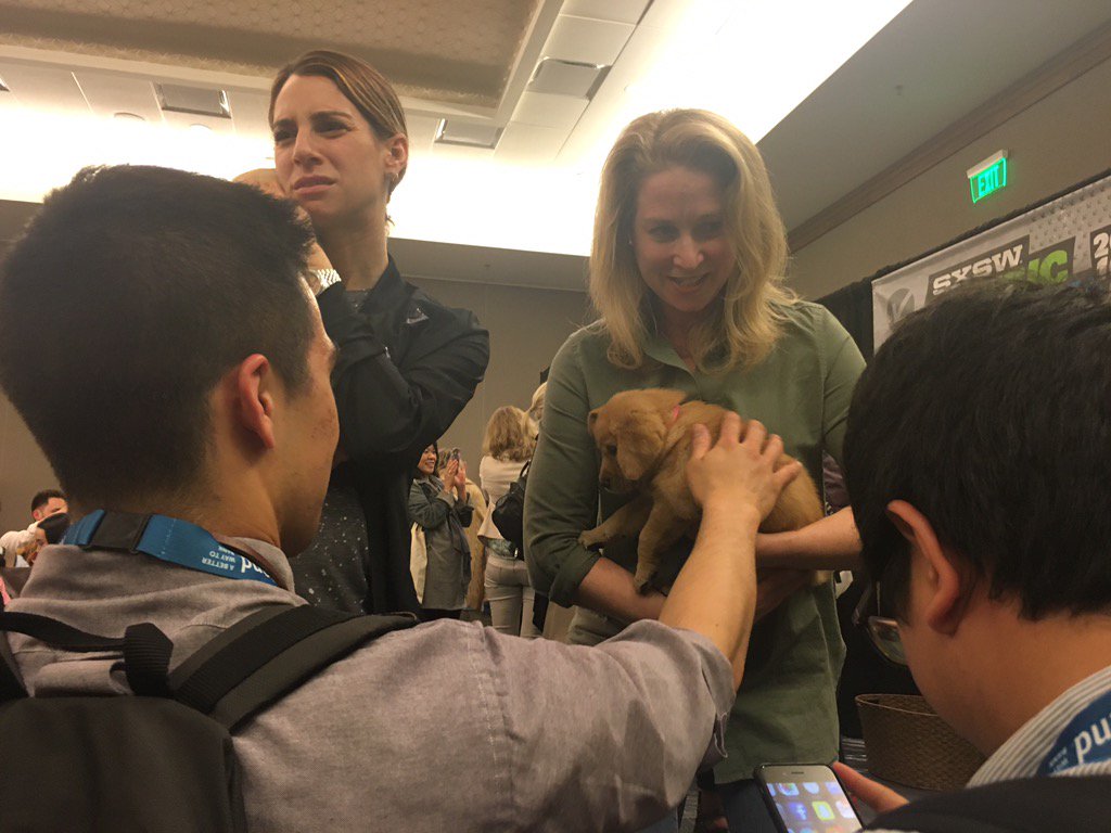 aql11's tweet photo. Always make the end experience a memorable one - bring in the puppies!! #findyourhappy #sxsw #sxsw2016 https://t.co/laSIUGoGED