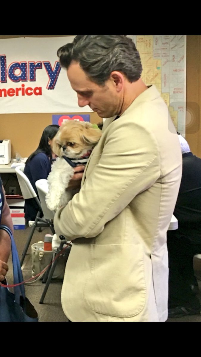 iMargo_CEO's tweet photo. @tonygoldwyn did this cutie bite? #Dogs4Hillary https://t.co/FjDW6c84Gp