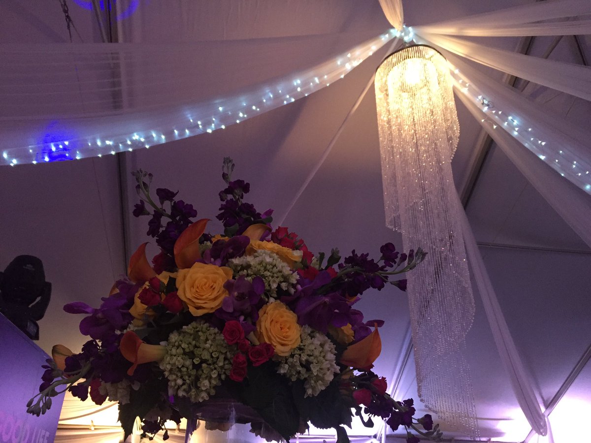 Q_Catalana's tweet photo. Wonderful night for a wonderful cause! #shuzzfashion16 https://t.co/pbaUK9g8Ba