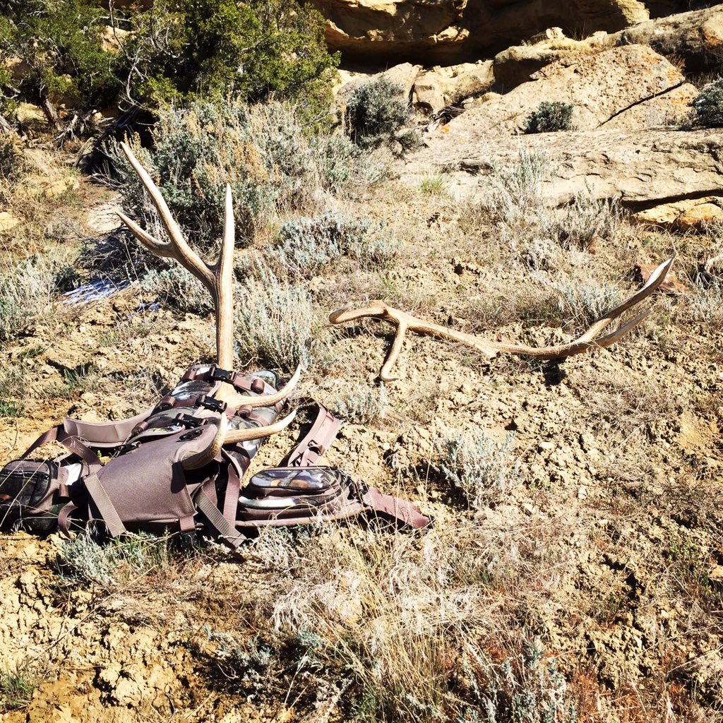ColoradoTines's tweet photo. Can't wait to load this pack up this year I've had it for a year now and love it #coloradotines @HornHunterPacks https://t.co/HVwAfTigeF