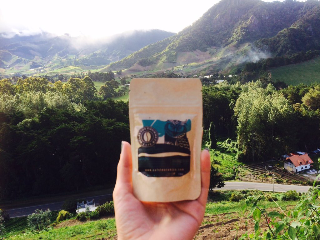 CafeCafetos's tweet photo. Chicas #coffeelover @CafeCafetos #CerroPunta #Volcan #Panama #specialtycoffee 100% #natural https://t.co/oK1R6AKEnd