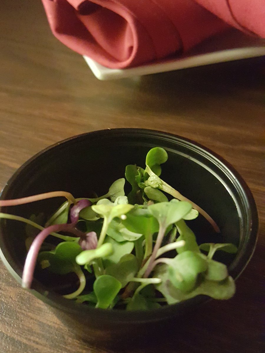 styleandeasy's tweet photo. Eating at #cellar6 St. Augustine delicious soup and yummy garnish https://t.co/2ewtkNk9Gt