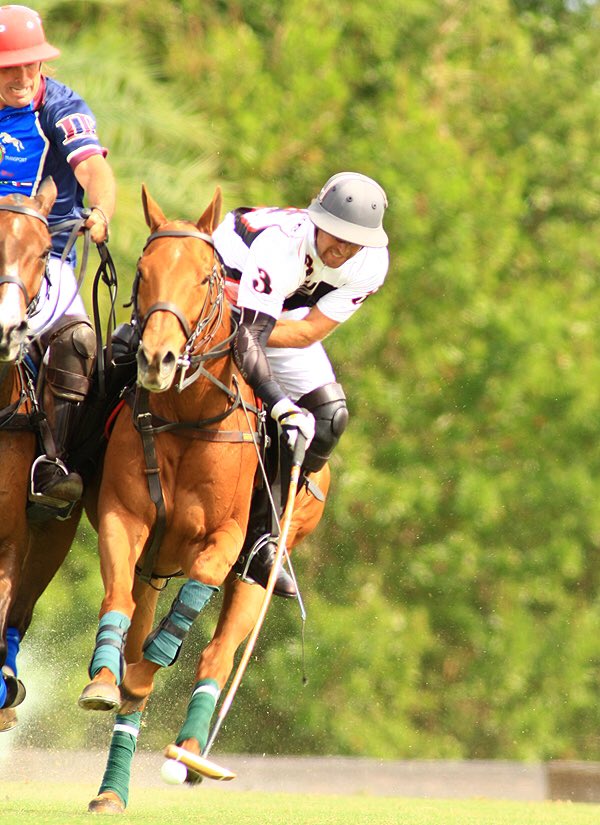 GrandChampions_'s tweet photo. #16goal #poloaction @TheDuttaCorp vs #postagestampfarm https://t.co/uhsYvUo4uL