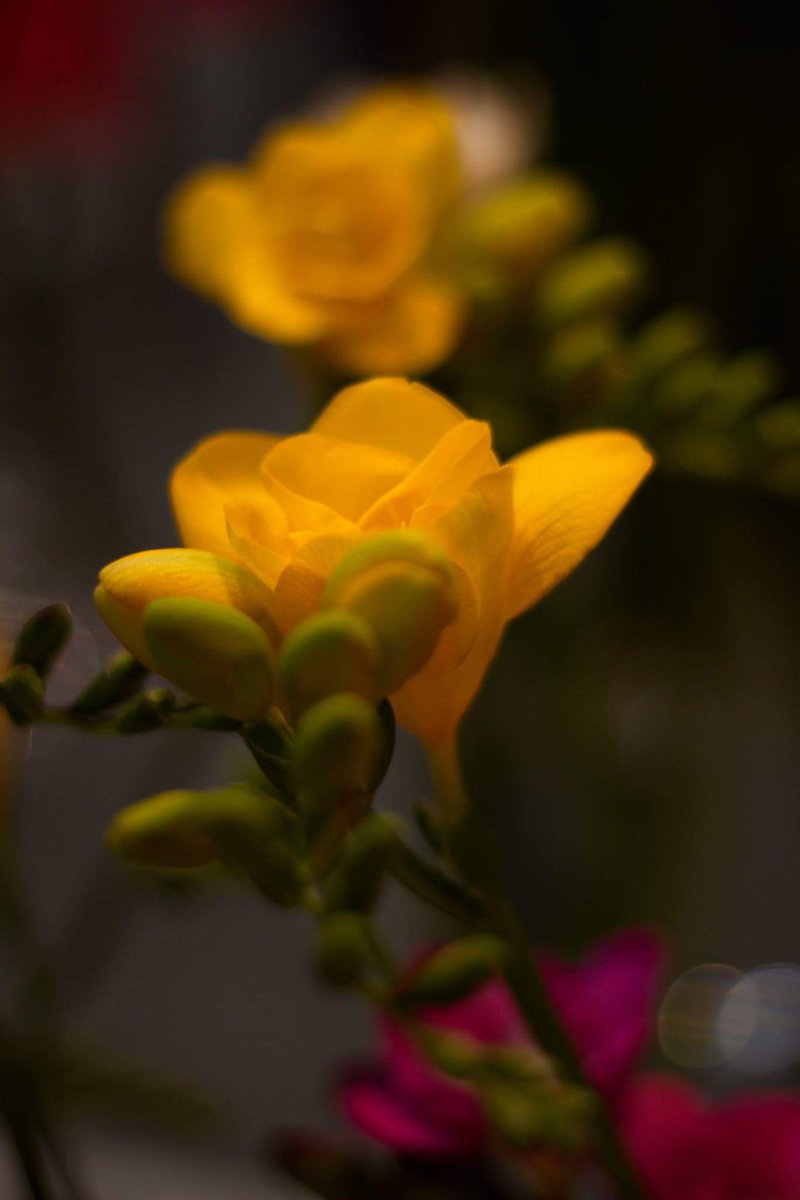 shr667 tweet picture