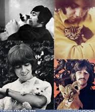 Watch Andrew Engen's leaked NSFW photo on TwXstars