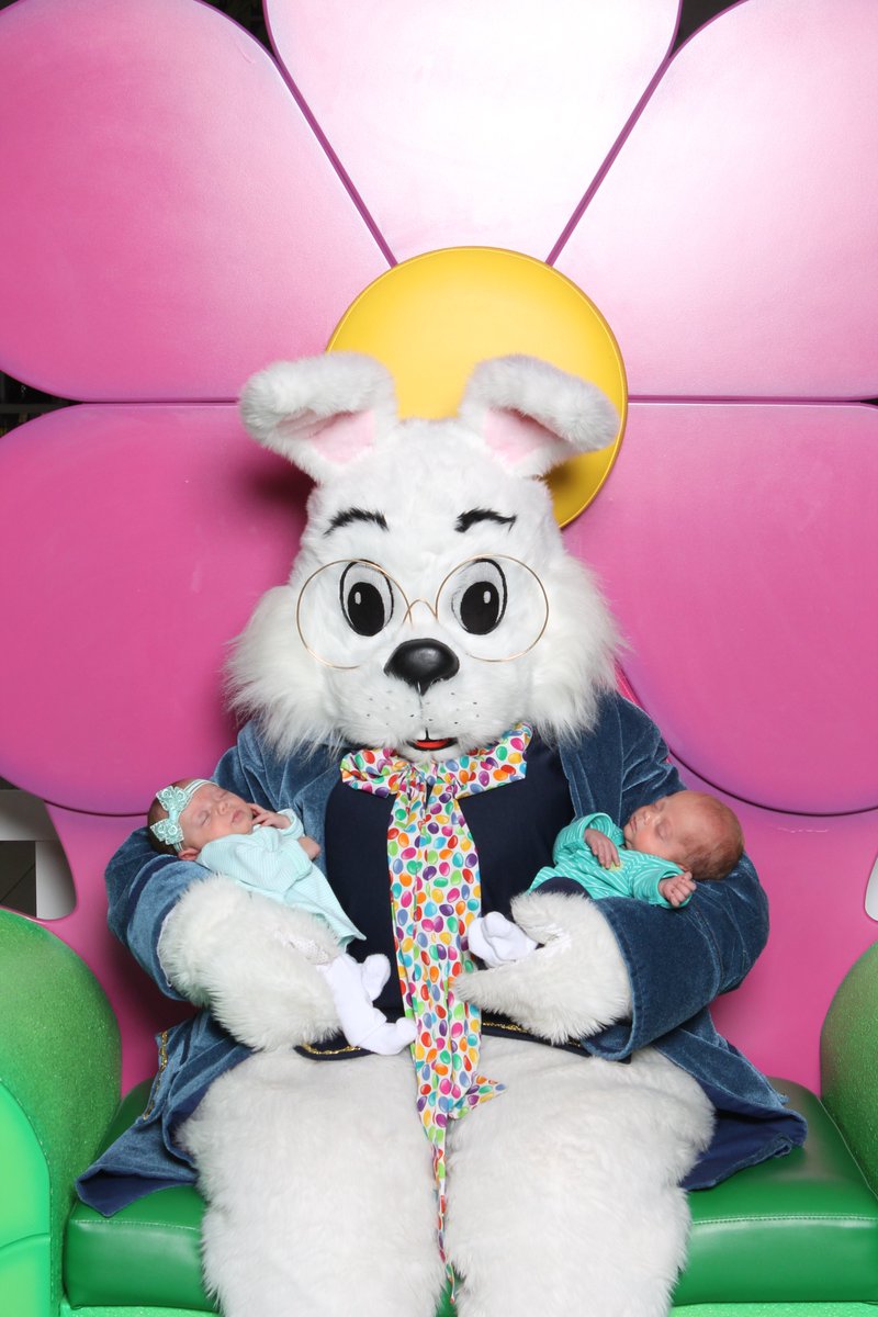 The Real Bunny (@follow_thebunny) | Twitter