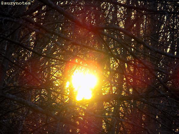 suzynotes's tweet photo. #FirstSpringSun Morning sun from my place. Looks like a cross. 6:24 AM #HappySunday https://t.co/PVhcQ3SU0h