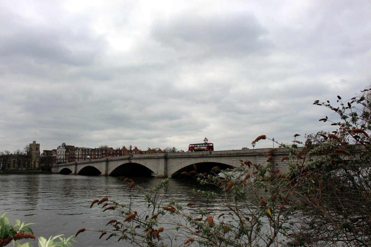 A Sunday walk in #Putney #iloveputney by <a href="/KodzokoMetin/">Metin Kodzoko</a>