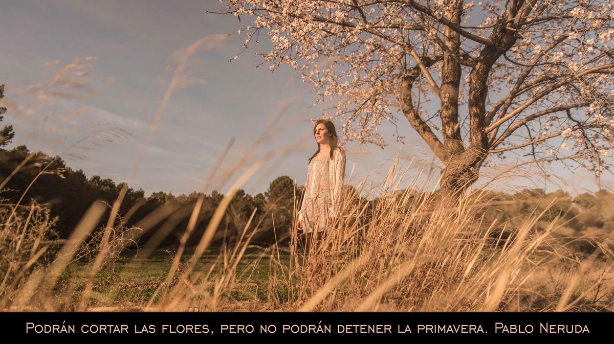 Desde Sunset damos la bienvenida a nuestra compañera #Primavera2016  #spring #sunset