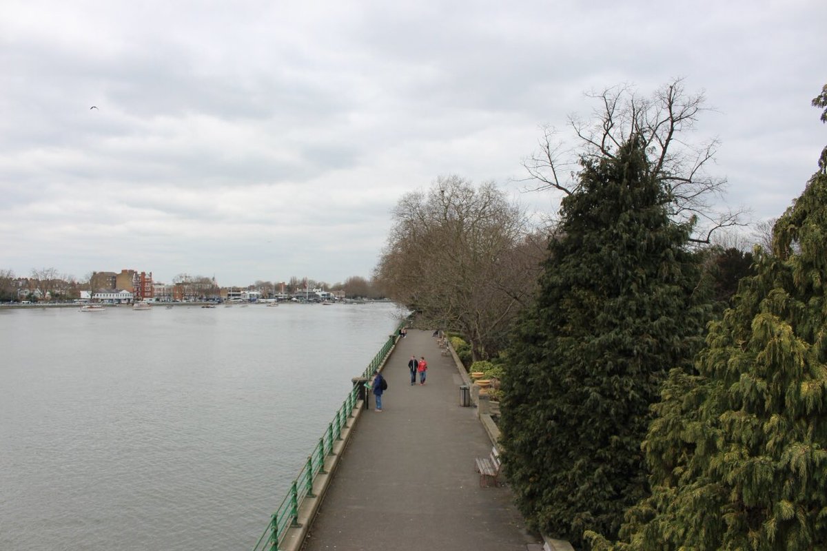 I Love Putney tweet media