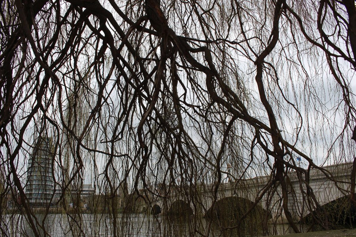 I Love Putney tweet media