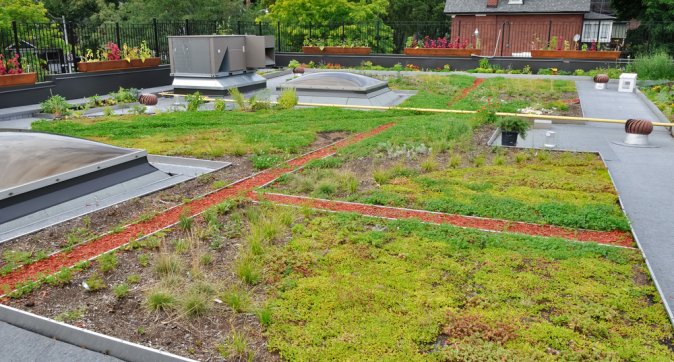 Groene daken kunnen bijdragen aan gewenste beleving, duurzaamheid en leefbaarheid v Tilburg. bit.ly/22wgIq2