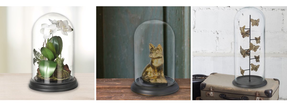 Our collection of Victorian style domes would add a touch of vintage elegance to your home bit.ly/CHdomes