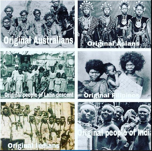 devine144's tweet image. 