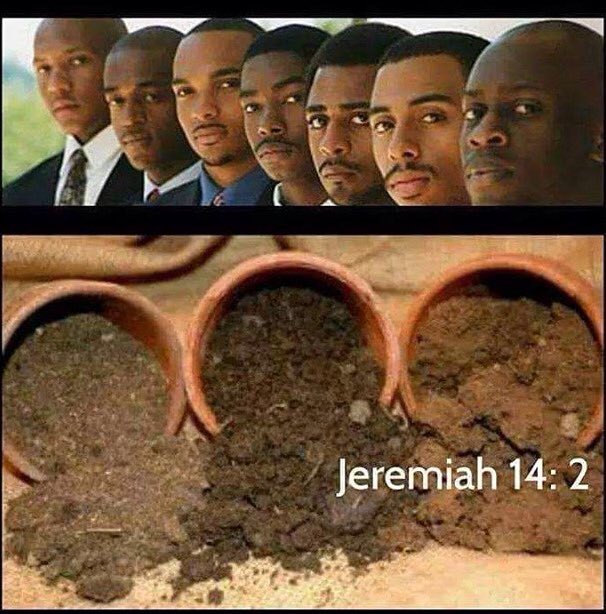 devine144's tweet image. 