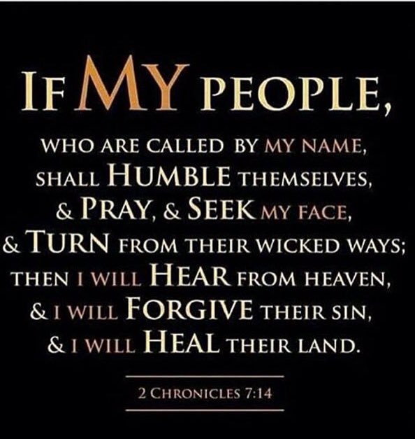 devine144's tweet image. 