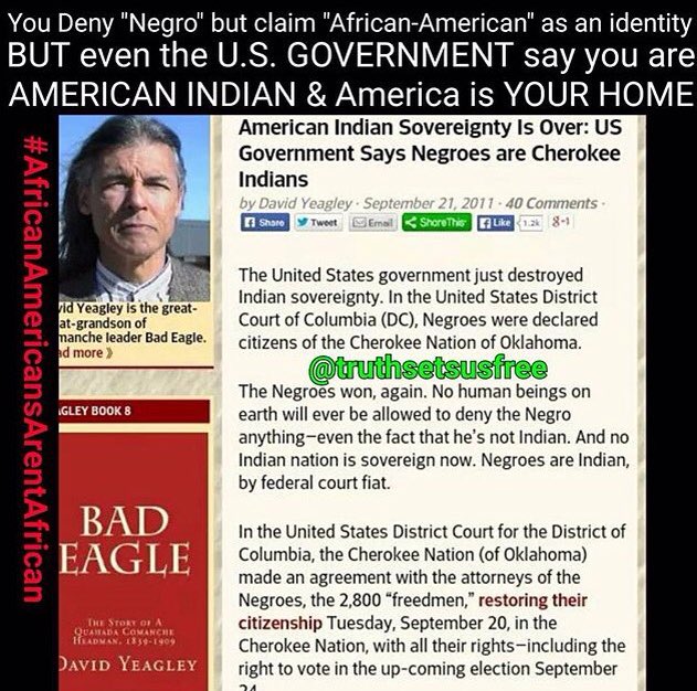 devine144's tweet image. 