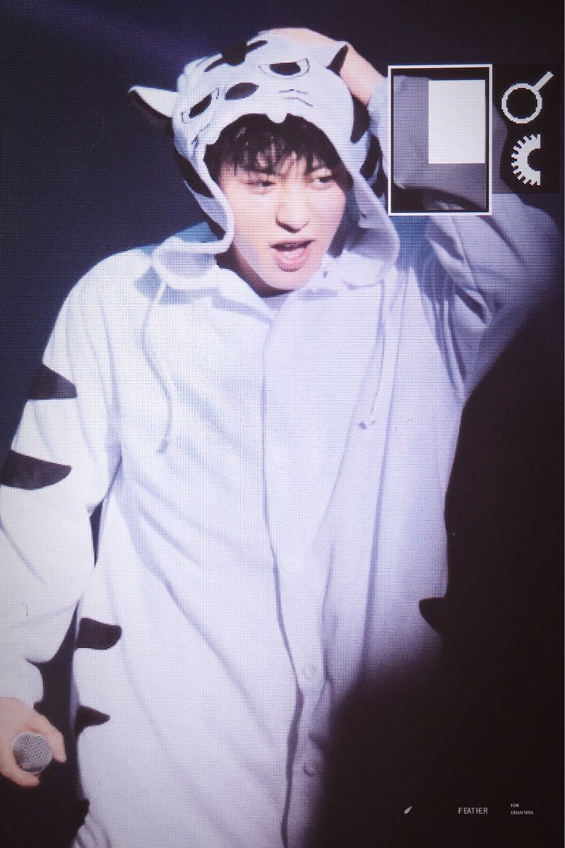 feather_61's tweet photo. the cutest tiger 😘😘 https://t.co/lvbSwuTPUd