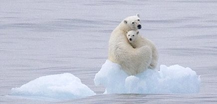 Labour4Animals's tweet photo. #BBCTBQ 'Has the time come to take climate change [global warming] seriously?' 
It's a heated debate! https://t.co/rQqrvKny4f