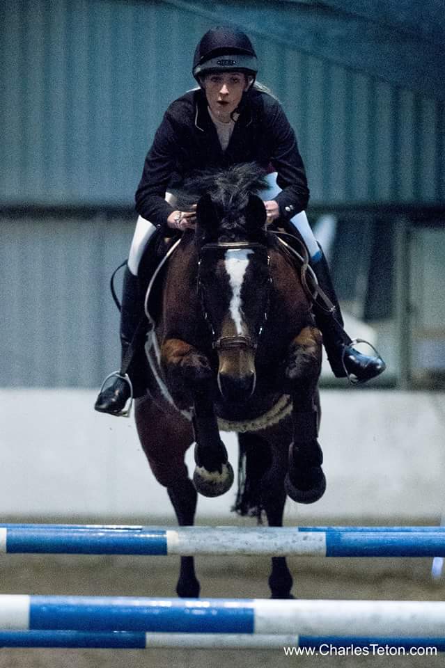 SWShowjumping's tweet image. Georgie's first Newcomers. Photo credit Charles Teton #flying #nostoppingusnow