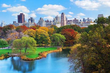 shitlicious's tweet photo. Central Park di New York isinya pepohonan yg adem~ Central Park di sini isinya beton. 😂 https://t.co/SbhwqJKw5M