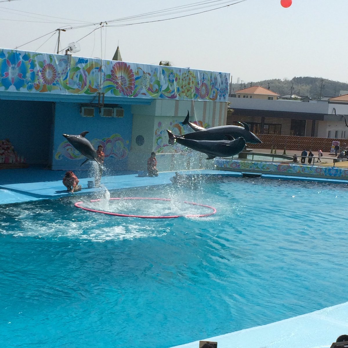 吉良 南知多ビーチランド ほんと良かった 生き物が触れそうな位距離近いし 水族館になってる建物は幻想的な巨大水槽や沈没船に見立てた海洋生物水槽があって全然飽きない 広すぎない園内は弁当 持ち込み可 南知多の海の幸と果物持って入れるんだよ最高 吉良 南知多ビーチランド ほんと良かった 生き物が触れそうな位距離近いし 水族館になってる建物は幻想的な巨大水槽や沈没船に見立てた海洋生物水槽があって全然飽きない 広すぎない園内は弁当 持ち込み可 南知多の海の幸と果物持って入れるんだよ最高