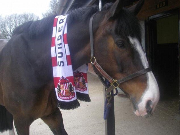 drpatuti's tweet photo. @ALS_Fanzine #PrayForBud https://t.co/ubnmxO6gDn